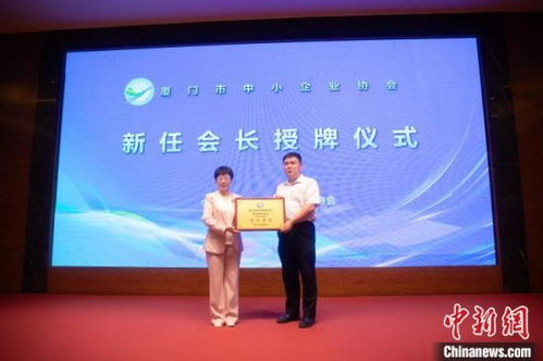 精準畫像助力，廈門中小企業借力網站建設駛入發展快車道